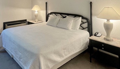 Room, 1 King Bed, Mobility Accessible, Non Smoking (Roll-in Shower)