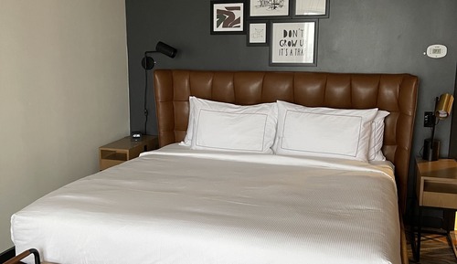 Room, 1 King Bed
