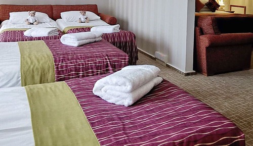 Premier Suite, Multiple Beds