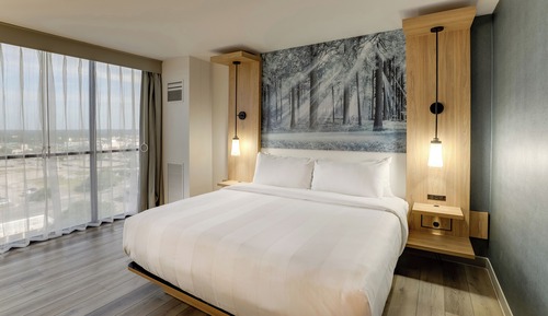 Room, 1 King Bed, Non Smoking (Mobility Accessible, Roll-In Shower)