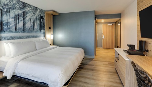 Room, 1 King Bed