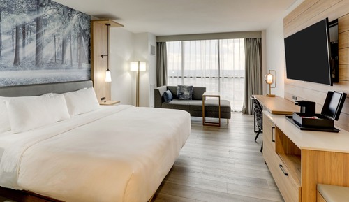 Room, 1 King Bed, Non Smoking (Mobility Accessible, Roll-In Shower)