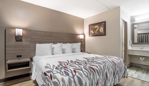 Standard Room, 1 King Bed, Non Smoking