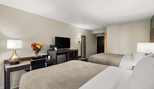 Standard Double Room, 2 Double Beds, Non Smoking