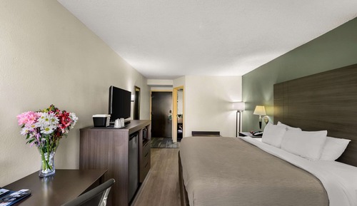 Standard Room, 1 King Bed, Non Smoking