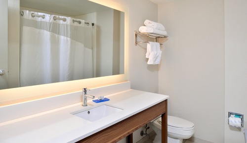 Suite, 1 King Bed (Additional Living Area)