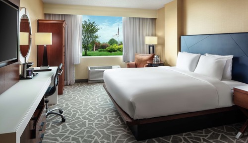 Room, 1 King Bed, Accessible (Roll-In Shower)