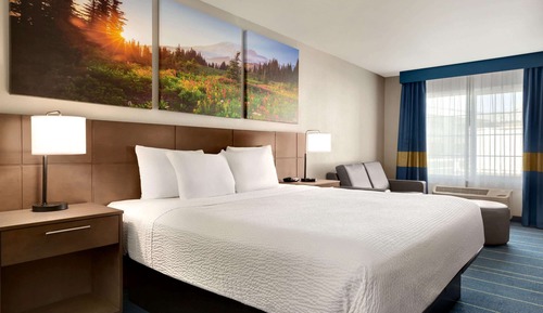 Room, 1 King Bed, Non Smoking