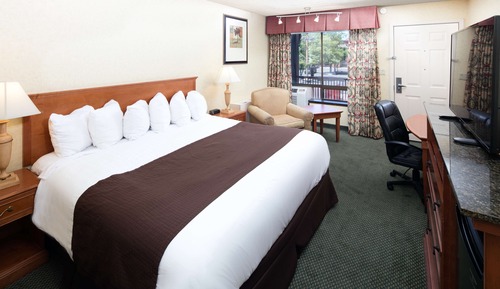 Standard Room, 1 King Bed