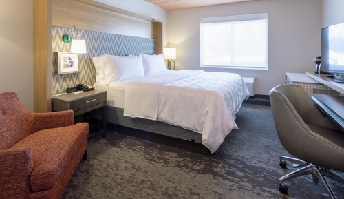 Standard Room, 1 King Bed, Accessible (Communications)