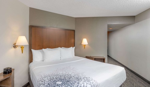 Room, 1 King Bed, Accessible, Non Smoking (Mobility, Roll-In Shower)