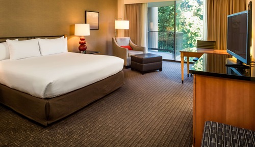 Standard Room, 1 King Bed, Accessible (RI Shower)