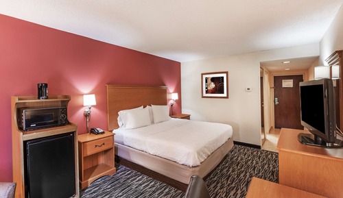 Room, 1 King Bed, Non Smoking