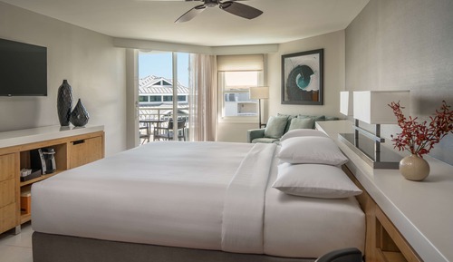 Room, 1 King Bed, Accessible (Shower)