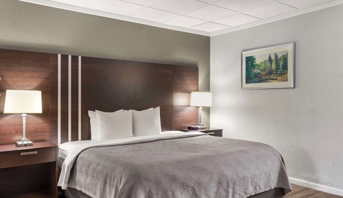 Standard Room, 1 King Bed, Non Smoking (No Pets)