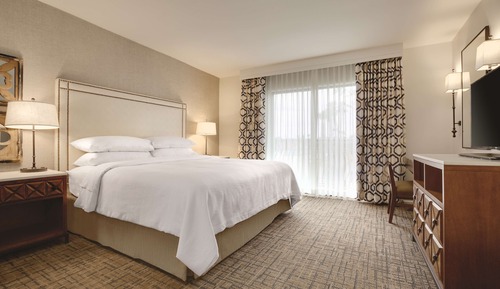 Deluxe Suite, 1 Bedroom