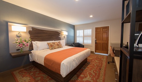 Deluxe Single Room, 1 King Bed, Non Smoking