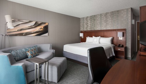 Room, 1 King Bed with Sofa bed