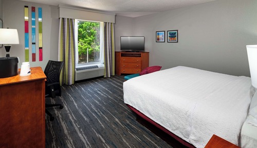 Room, 1 King Bed