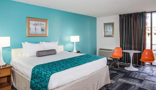 Room, 1 King Bed, Non Smoking