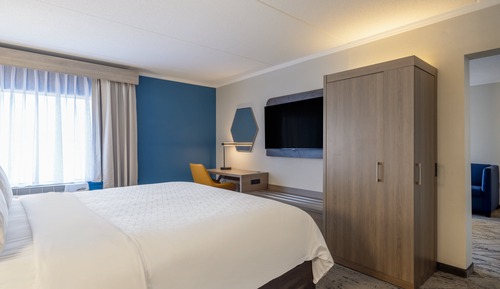 Suite, 1 King Bed with Sofa bed