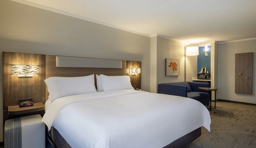Standard Room, 1 King Bed with Sofa bed, Accessible (Mobility)