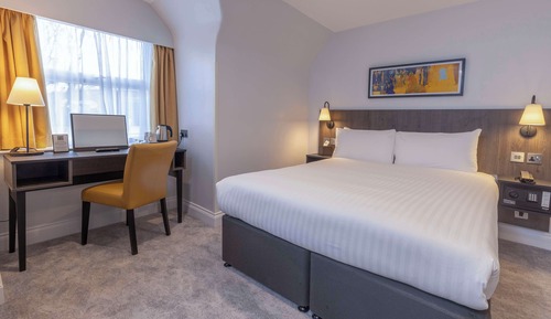 Executive Room, 1 King Bed, Non Smoking