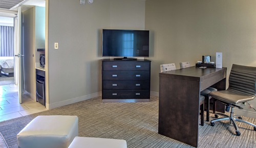 Suite, 1 King Bed with Sofa bed