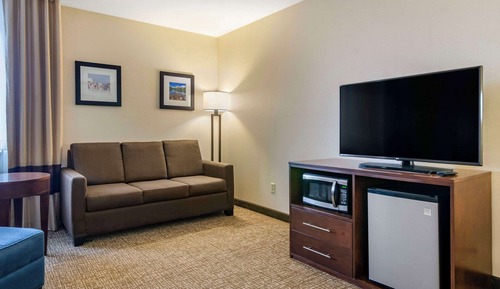 Suite, 1 King Bed with Sofa bed, Non Smoking (Larger Unit)