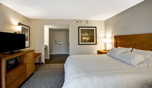 Room, 1 King Bed, Accessible, Bathtub (Refrigerator & Microwave)