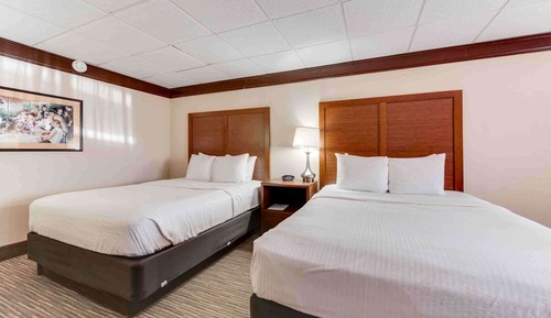 Standard Room, 2 Queen Beds, Non Smoking, Refrigerator & Microwave (Pet Friendly)