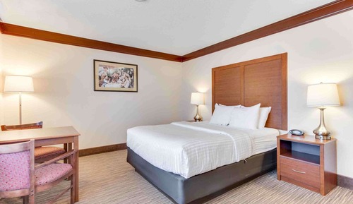 Standard Room, 1 Queen Bed, Non Smoking, Refrigerator & Microwave (Movie View from the Bed)