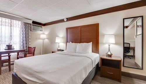 Standard Room, 1 Queen Bed, Non Smoking, Refrigerator & Microwave (Pet Friendly)