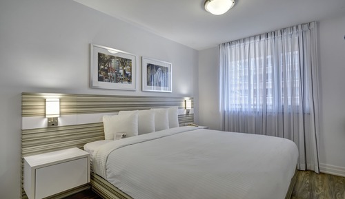 Standard Suite