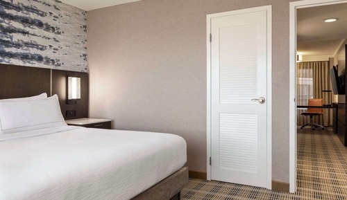 Suite, 1 King Bed with Sofa bed