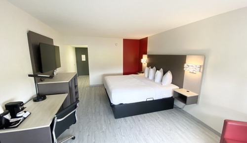 Suite, 1 King Bed with Sofa bed, Non Smoking (Primary)