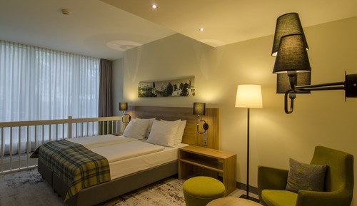 Standard Room, 1 King Bed with Sofa bed