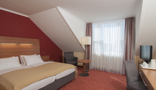 Standard Room, 1 Double Bed