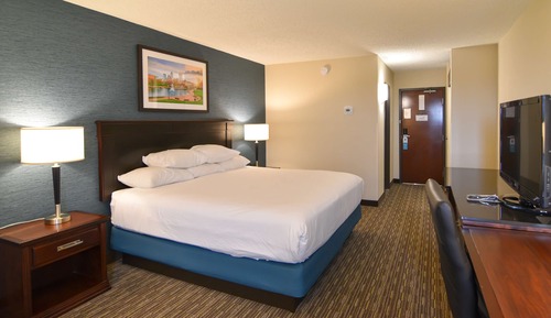 Suite, 1 King Bed, Non Smoking, Refrigerator & Microwave (with Sofabed)