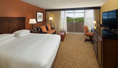 Room, 1 King Bed, Balcony, Partial View (Partial View)