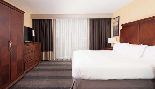 Room, 1 King Bed, Non Smoking (Basic)