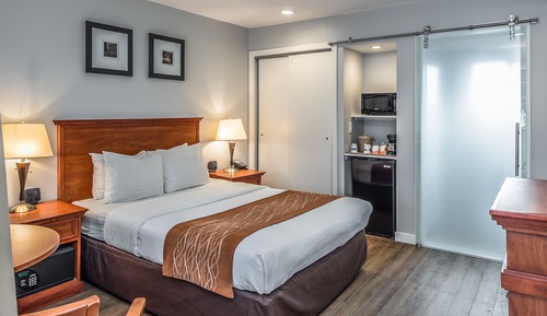 Standard Room, 1 Queen Bed, Accessible