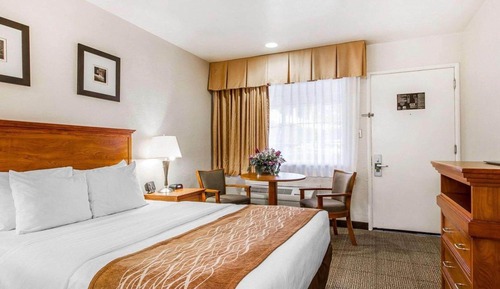 Standard Room, 1 King Bed, Accessible