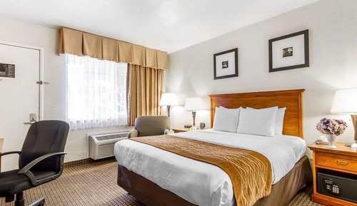 Standard Room, 1 King Bed