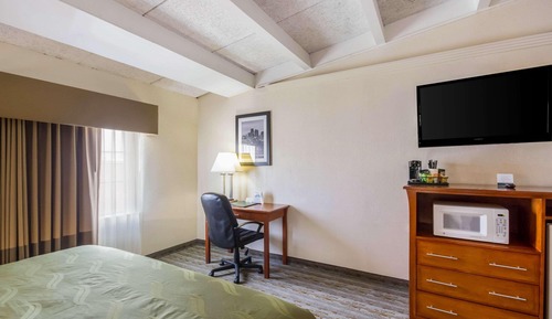 Suite, 1 King Bed with Sofa bed