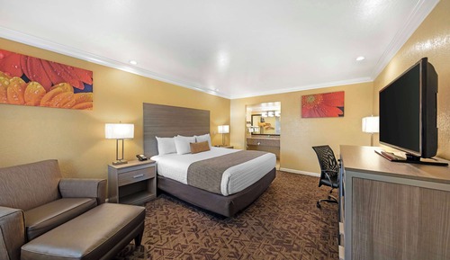 Standard Room, 1 King Bed, Non Smoking, Refrigerator & Microwave