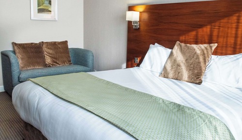 1 King Bed