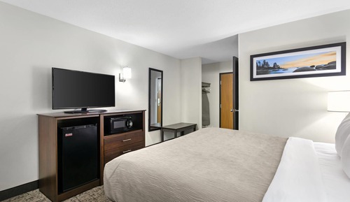 Standard Room, 1 King Bed, Non Smoking