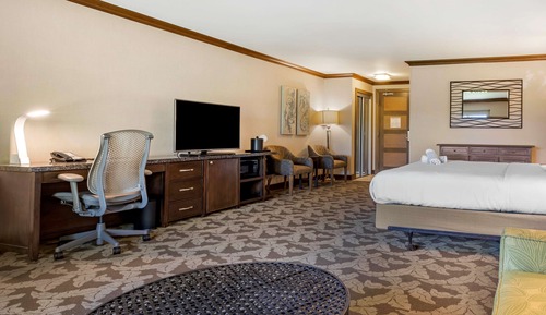 Standard Room, 1 King Bed, Non Smoking, Refrigerator & Microwave