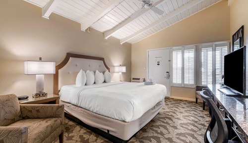 Standard Room, 1 King Bed, Accessible, Non Smoking